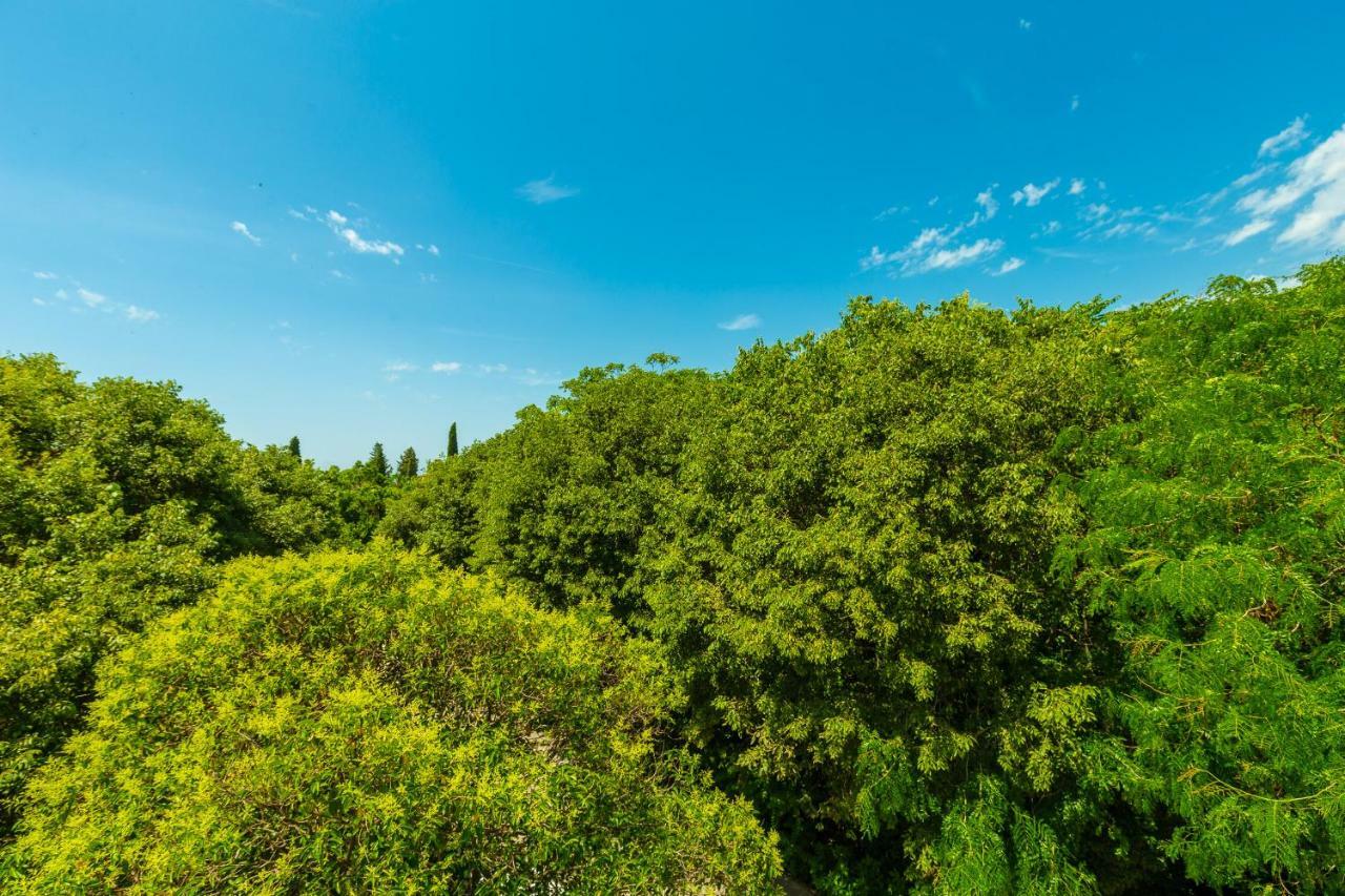 Hedera Estate, Hedera A1 Apartment Дубровник Екстериор снимка